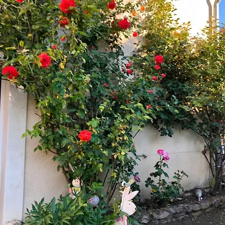 Avec Terrasse A Chenou, 20 M² Chenou